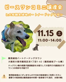 ミニ譲渡会in大阪鶴見緑地パートナードッグタウン
