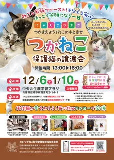 つかねこ譲渡会＆パネル展・チャリティーグッズ販売（12月）