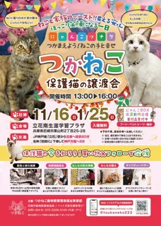 つかねこ譲渡会＆パネル展・チャリティーグッズ販売（11月）