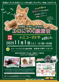 エコにゃん譲渡会inエコーペット学院文化祭