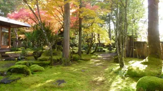 名勝「梅田氏庭園」秋の特別公開