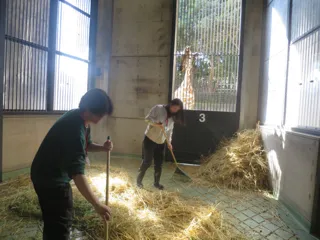 金沢動物園　ペアで飼育体験