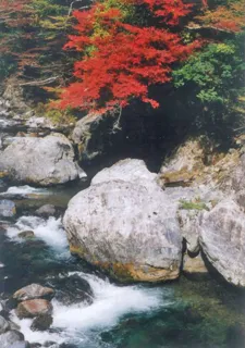 【紅葉・見ごろ】尾前渓谷