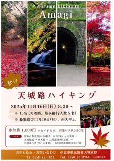 天城路ハイキング