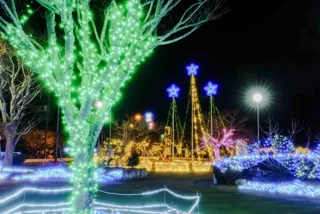 スターライト☆ファンタジー2025