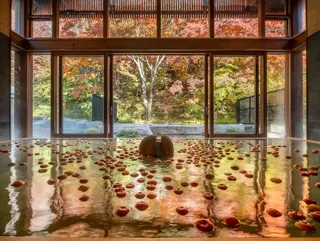 星野温泉 トンボの湯の「りんご湯」