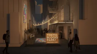 TOKYO BLOCKS PARK !