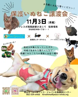 保護いぬねこ譲渡会