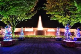 鯖江市制70周年記念 西山公園イルミネーション「ファミリンにしやま」