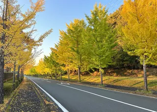 【紅葉・見ごろ】グリーンランドみずほ