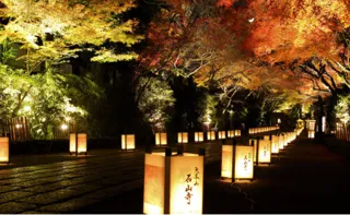 石山寺 あたら夜もみじ(紅葉ライトアップ)