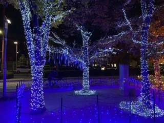 Higashihiroshima トワイエ 2025 西条中央公園のイルミネーション