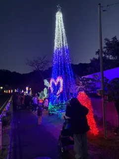 大井イルミネーション