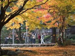 大寧寺の紅葉と座禅体験