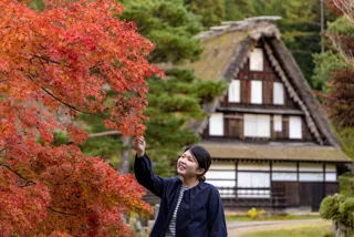 【紅葉・見ごろ】飛騨の里