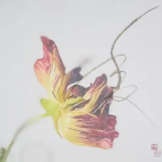 久保 京子×春陽 「TATANAHARU -日々たおやか-」