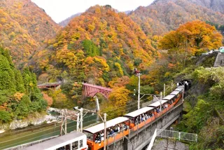 【紅葉・見ごろ】黒部峡谷