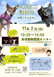 いぬねこ譲渡会～保護っ子を家族に～