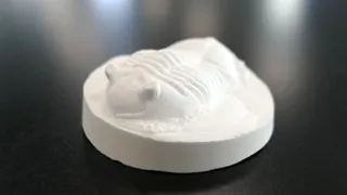 わくわく科学工作「化石のレプリカ～三葉虫１～」