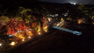 東公園紅葉まつり