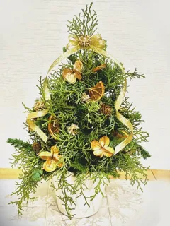 クリスマス1dayレッスン 香り漂う針葉樹のテーブルツリー