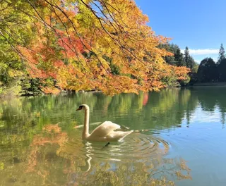 エコパ伊奈ヶ湖 紅葉祭