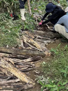 歩道整備 プログラム