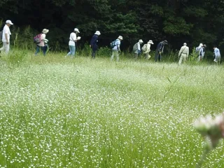 自然ウォッチング（11月）