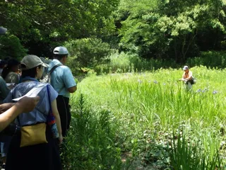 なるほど森歩き（11月）