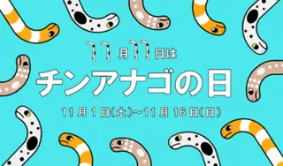 チンアナゴの日
