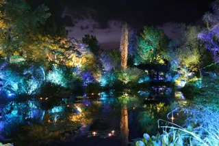 モネのナイトキャンバス Forest Wedding ~森の祝福~