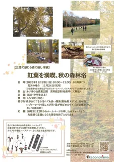 紅葉を満喫、秋の森林浴