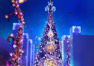 光の遊園地~Flowering Illumination Rose~
