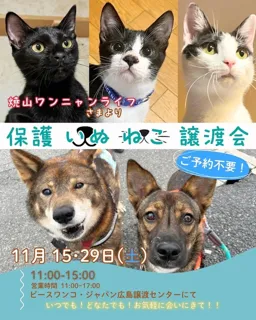 保護いぬねこ譲渡会
