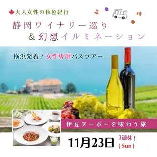 横浜発&女性参加限定バスツアー!静岡ワイナリー巡り&幻想イルミネーション