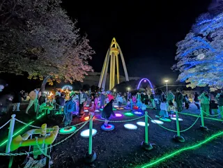 138ウインターイルミ