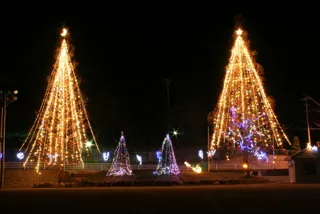 フェスティビタス　ナタリス