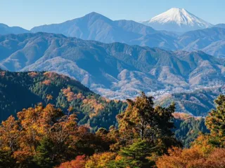 晩秋で彩られた高尾山へ ガイド付き ゆったりトレッキング
