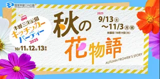 秋の花物語