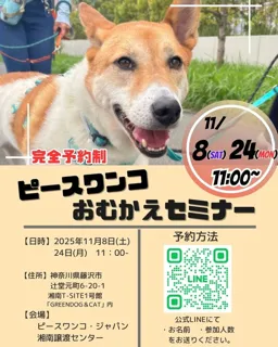 保護犬お迎えセミナー