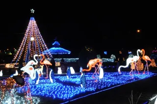 島原ウィンターナイトファンタジア