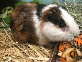 飼育係とおはなしサタデー ~動物園の台所をのぞいてみよう~