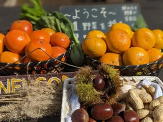 あなたはみかん派　柿派