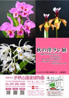 姫路市立手柄山温室植物園　秋の洋ラン展