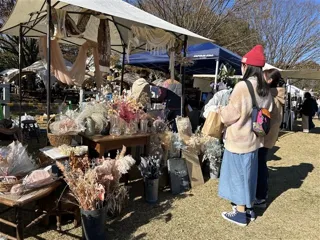 森林公園 NEW HOLIDAY 2025