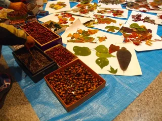 森のクラフト教室