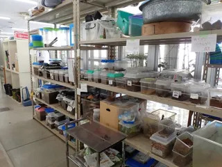 バックヤードガイド「飼育室ツアー」（12月）