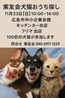 紫友会犬猫おうち探し