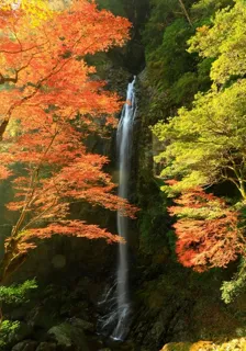 【紅葉・見ごろ】六十尋滝