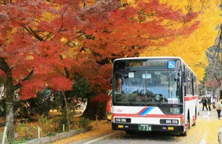 犬山紅葉ルートバス